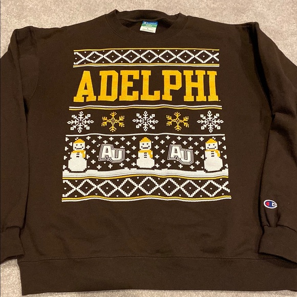 Ugly Christmas Sweater Other - ‼️ADELPHI‼️